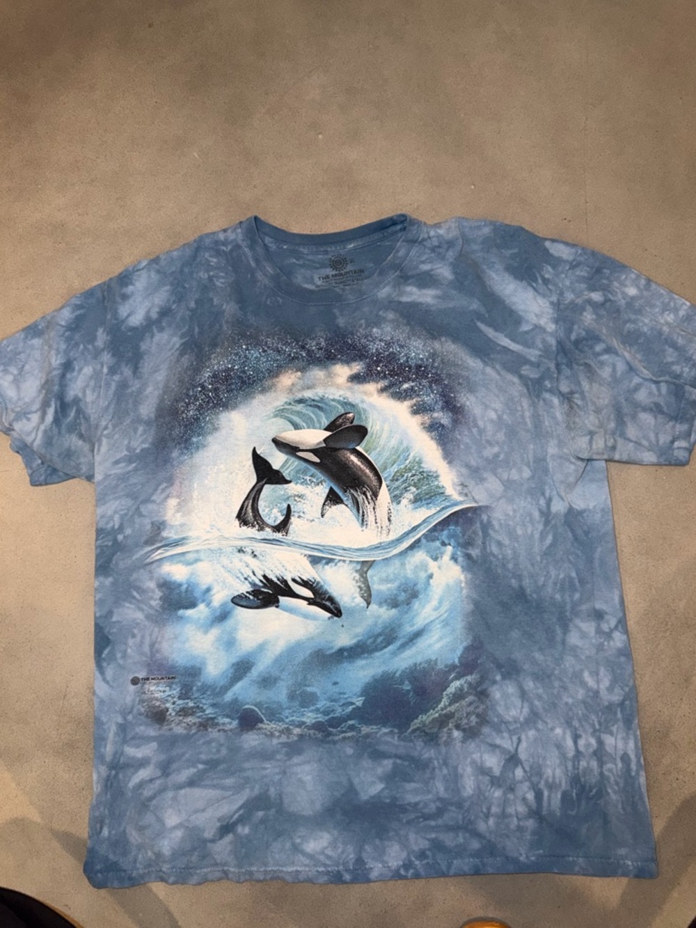 The Mountain Light Blue Graphic Tee
